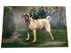1911 Antique Dog Painting Pug Large Original Luis De Ocharan Spanish Artist