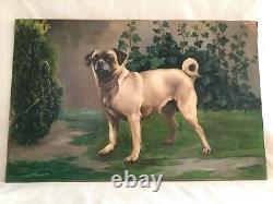 1911 Antique Dog Painting Pug Large Original Luis de Ocharan Spanish Artist