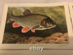 1962 Rare Prints X 4 Diff Fish By Bernard Venables Published by Angling Prints