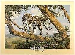 ANTHONY GIBBS Mara Lookout leopard tree LE SIGNED SIZE52cm x 71cm NEW RARE