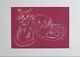 Ai Weiwei Cats Rare Pink Edition Signed Numbered Limited Edition Print