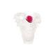 Daum Numbered Ed Rose Passion White & Pink Vase Small #05287-6 Brand Nib F/sh