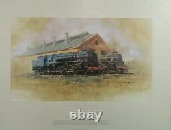 David shepherd black prince and green knight on shed steam engines trains rare
