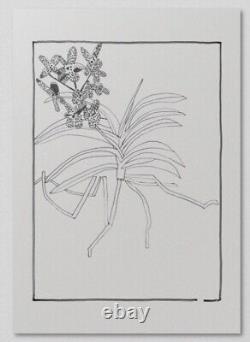 Jonas Wood 21 Transparencies Zine Rare Book Nieves Modernist Plants