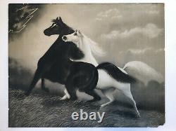 Pair Original Antique 1900 Rare LeRoy Le Roy Spirited Wild Horses J Hoover Litho