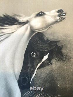 Pair Original Antique 1900 Rare LeRoy Le Roy Spirited Wild Horses J Hoover Litho