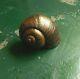 Paul Wunderlich Schneckenhaus Snail Sculpture Signed Rare