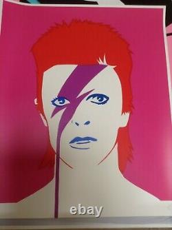 Pure Evil'bowie A Lad Insane Ziggy Pink' Rare Limited Edition Print