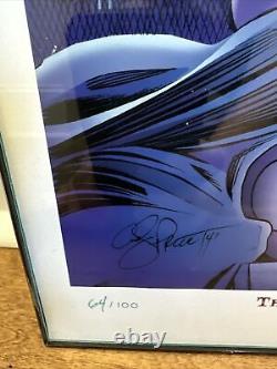 RARE 2015 My Little Pony Signed Andy Print Villains FRAMED Art #64/100 SDCC EXCL