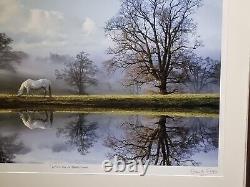 RARE, NEW LARGE Limited Edition print 20/50'White Horse Reflections