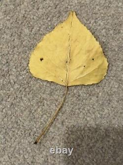 Rare Leaf From A Unknown Country Dipped In A Gold Waterfall
