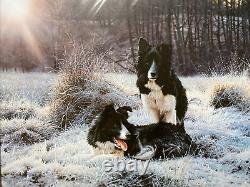 Steven Townsend'Early Light' Rare Limited Edition Print Collie Dog