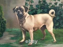 1911 Antique Dog Painting Pug Large Original Luis De Ocharan Artiste Espagnol