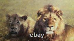 David Shepherd Serengeti Friends Limited Edition Lions Rare Seulement 350 Exemplaires
