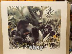 Impression d'art de la faune Gorille RARE Gorilles des montagnes par Wolfgang Weber épuisée