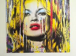 Monsieur Cerveau Laver Kate Moss Rare Authentique Lithographie Impression Iconique Affiche d'Art Pop