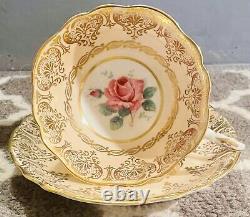 Paragon Rare Antique Avec Grande Rose Et Accents Or Lourds Tea Cup & Saucer Set