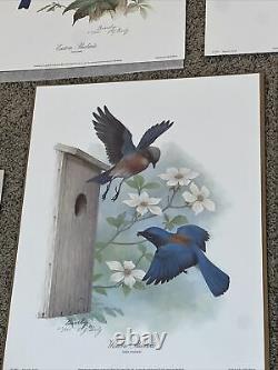 Rare (3) Set Edward J. Bierly Western Bluebirds Ltd Ed Imprimer 613/950 Wall Art