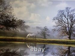Rare, New Large Edition Limitée Imprimer 20/50'white Horse Reflections