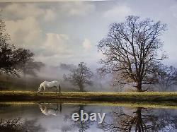 Rare, New Large Edition Limitée Imprimer 20/50'white Horse Reflections