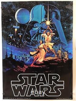 Star Wars UN NOUVEL ESPOIR Affiche originale de film RARE de 1977 20 X 28 Art de Hildebrandt