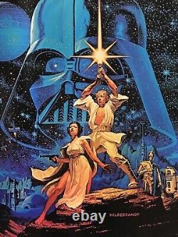 Star Wars UN NOUVEL ESPOIR Affiche originale de film RARE de 1977 20 X 28 Art de Hildebrandt